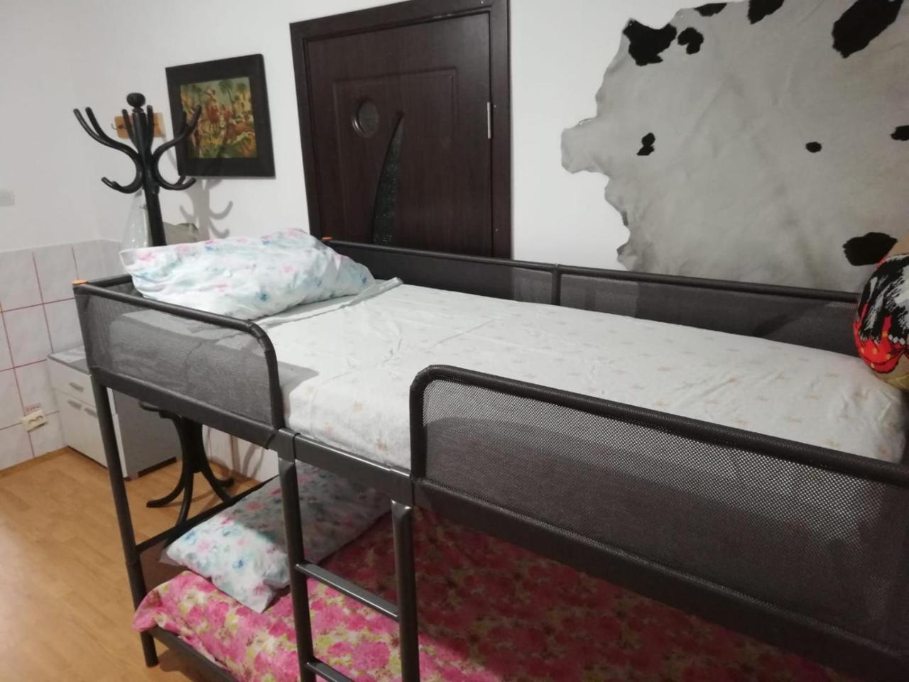 Leyla Hostel Брашов Экстерьер фото