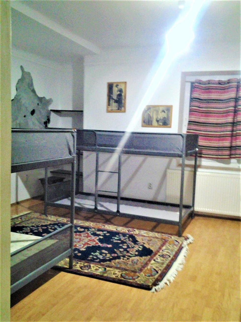 Leyla Hostel Брашов Экстерьер фото