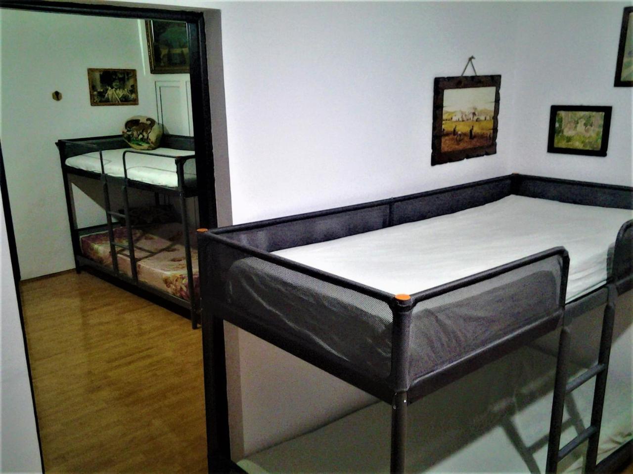 Leyla Hostel Брашов Экстерьер фото