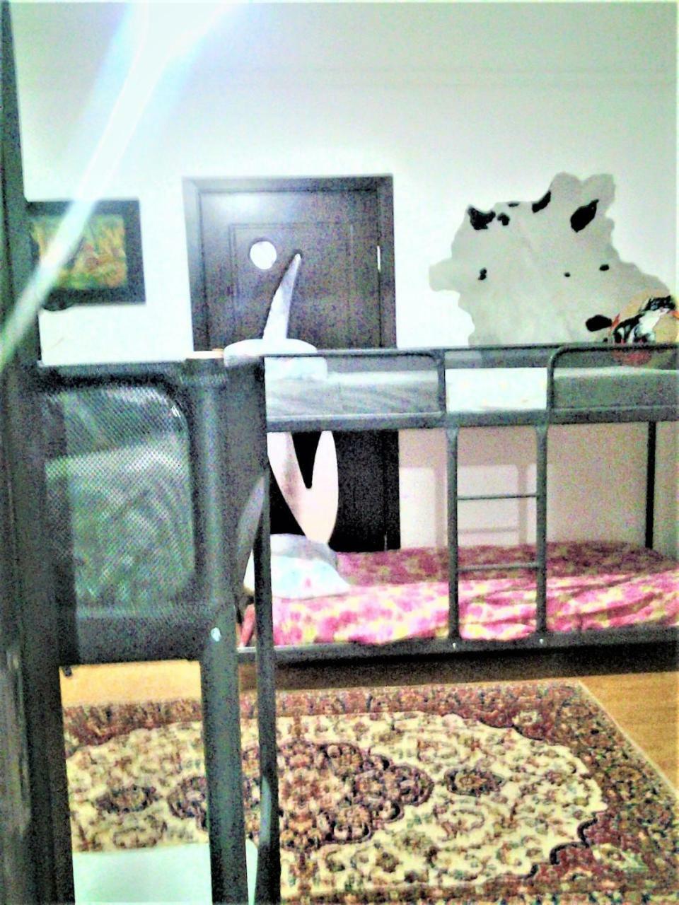 Leyla Hostel Брашов Экстерьер фото